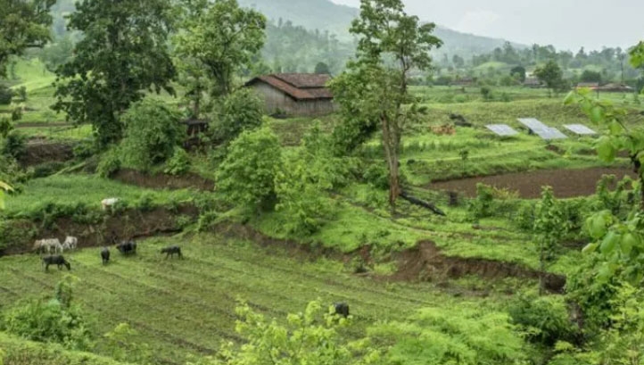 Common offsetting projects include tree planting and other nature restoration or creation, as well as helping communities to access renewable electricity or clean cooking fuel. Image: VCMI
